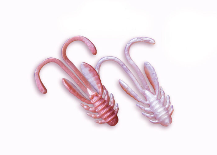 Crazy Fish Allure 1,6'' - 40mm #31d