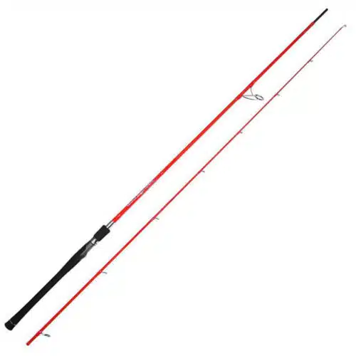 Tenryu Dragon Express 290cm 20-60gr