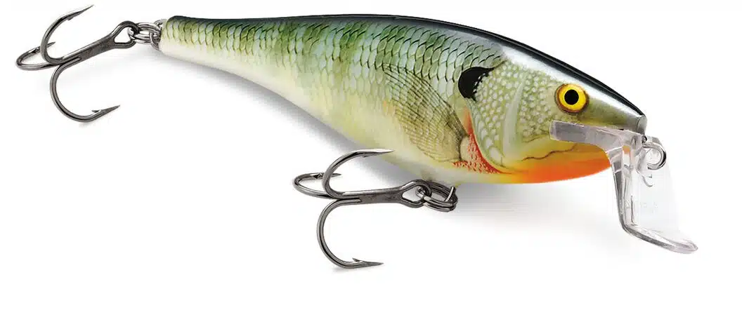 Rapala Super Shad Rap 14cm 45gr - Afbeelding 7