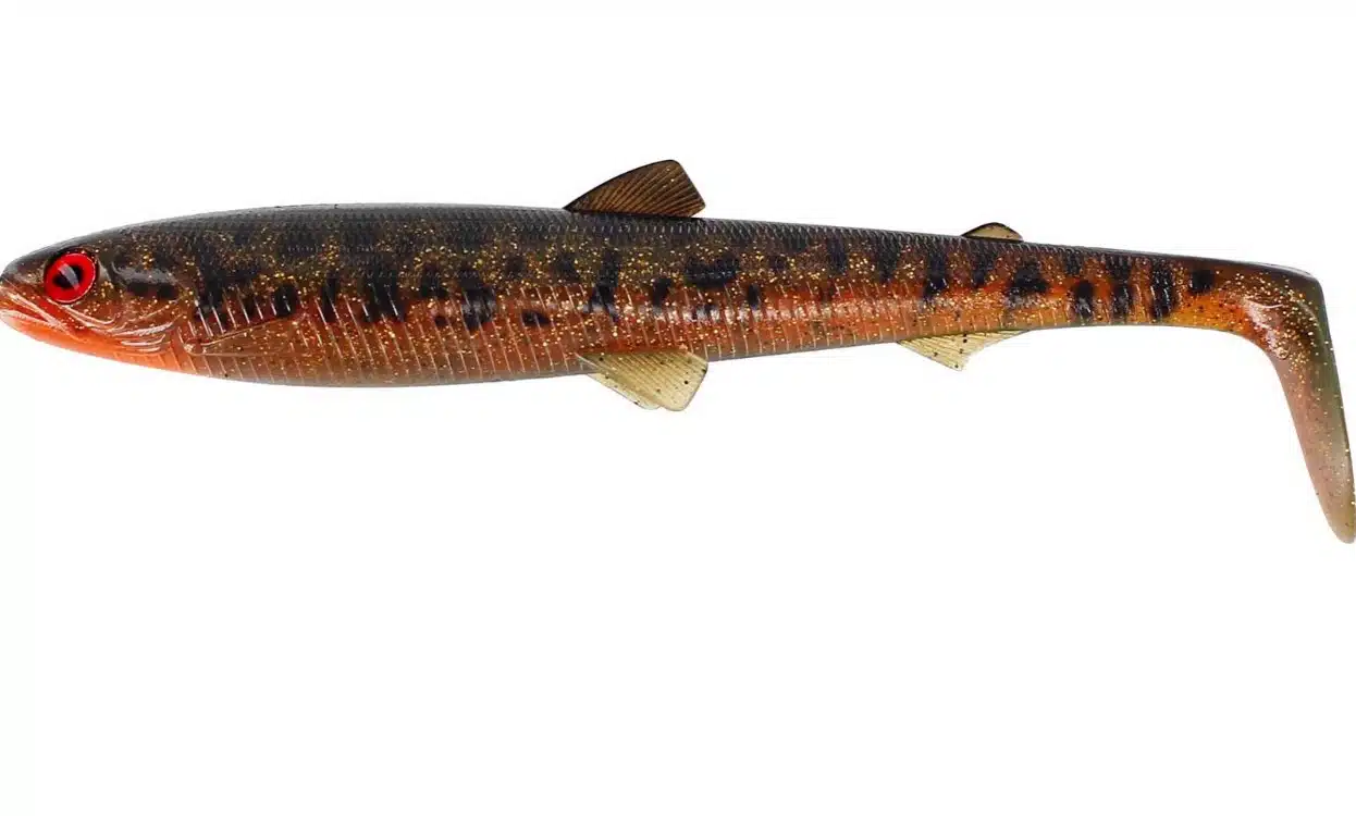 Westin Bullteez 24cm - Afbeelding 3