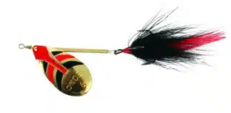 Ondex Buck 3