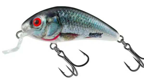 Salmo Rattlin Hornet Floating Shallow 3,5cm 3,0gr