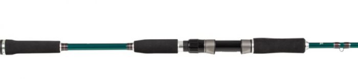 Abu Garcia Beast X Pike 842 H 30-110g Spin