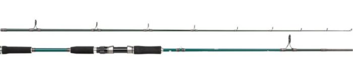 Abu Garcia Beast X Pike 842 H 30-110g Spin