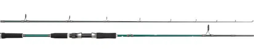 Abu Garcia Beast X Pike 842 H 30-110g Spin
