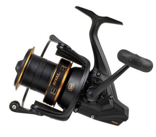 Penn Rival 8000LC Gold