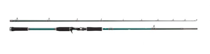 Abu Garcia Beast X Pike 662 HP Jerk Casting