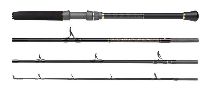 Penn Regiment III Travel Boat Series 12-20lb 233cm