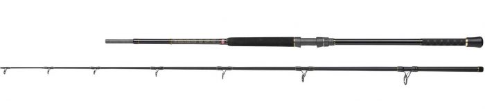 Penn Regiment III Uptide Series 70-300gr 300cm