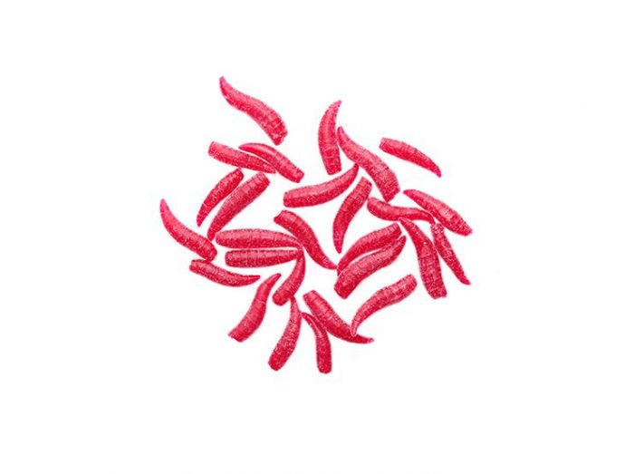 Drennan Buoyant Maggot Bloodworm Rood - Afbeelding 2