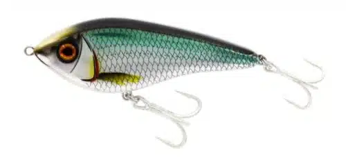Westin Swim Sinking 15cm 125gr