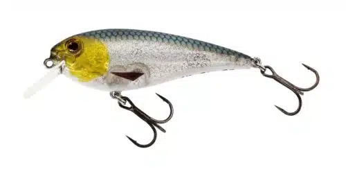 Westin Rawbite Crankbait Floating 7cm 12gr