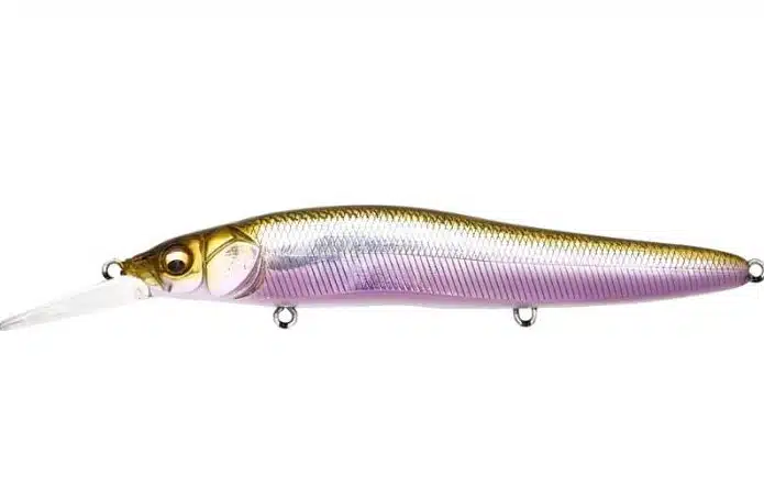 Megabass Vision 110 R+1
