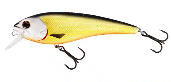 Westin Rawbite 11cm 26gr Low Floating - Afbeelding 3