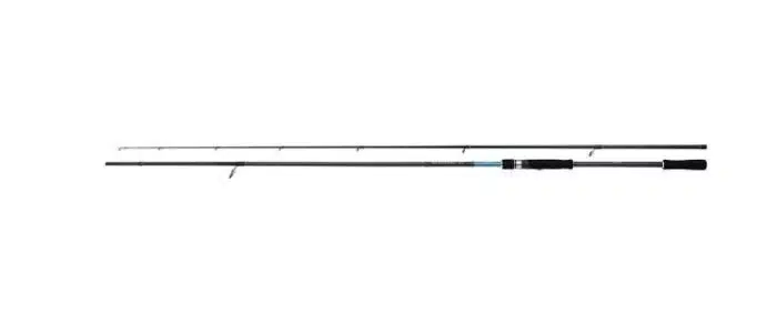Shimano Bassterra XT Seabass