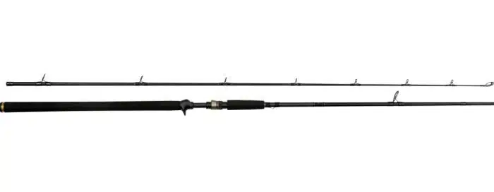 Westin W3 Powercast T 2nd 20-80g 8'3 248cm