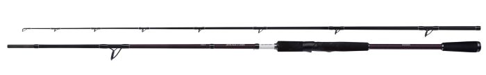 Shimano Yasei BB AX Pike XH Spin 2,50m 30-90g 2pc