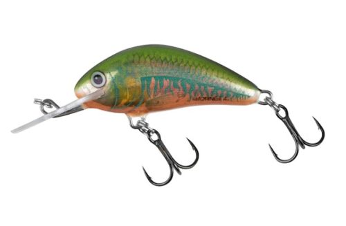 Salmo Hornet 2 Sinking 2,5cm 1,5 gram