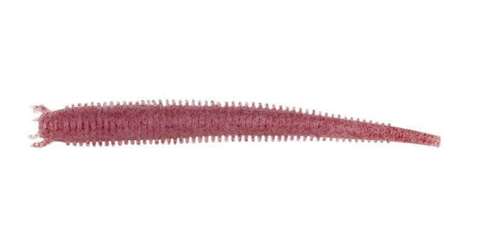 Gulp Fat Sandworm 10cm - Afbeelding 4