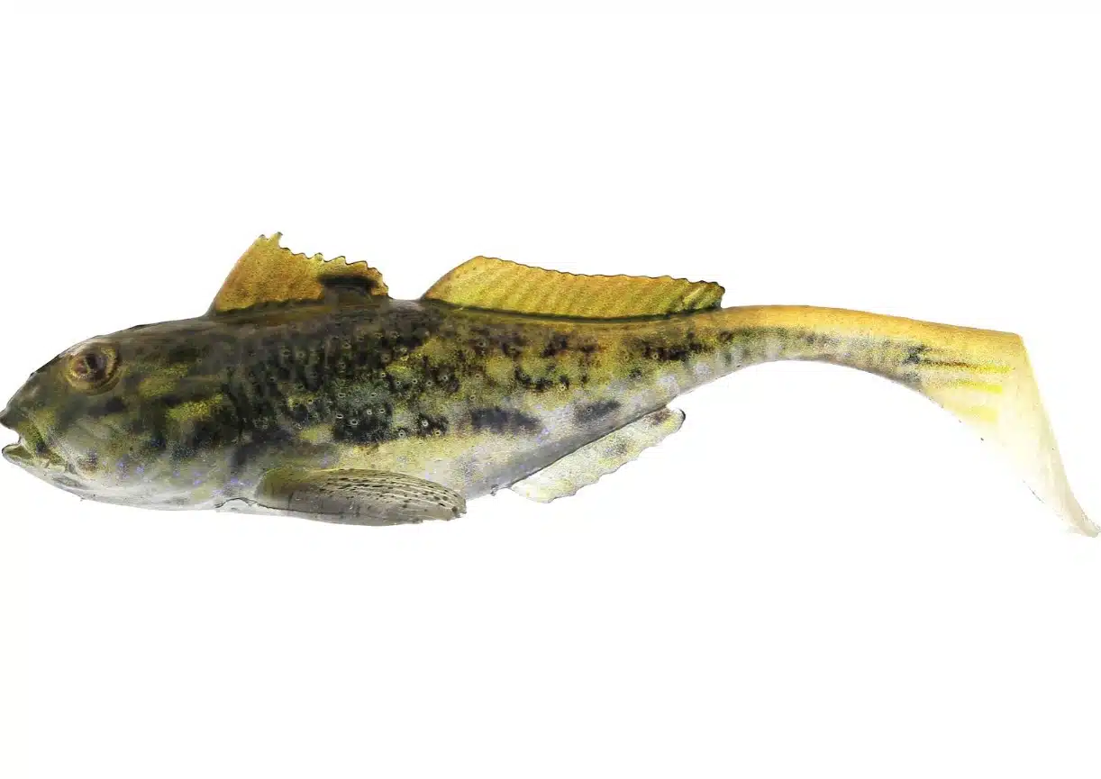 Westin Gunnar the Goby 6,5cm 3,5gr - Afbeelding 3